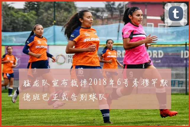 猛龙队宣布裁掉2018年6号秀穆罕默德班巴正式告别球队